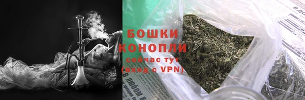 прущие грибы Магадан