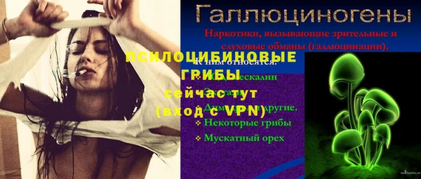 Альфа ПВП Мегион