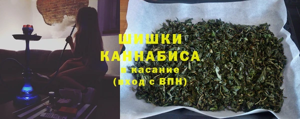 гашик Медногорск
