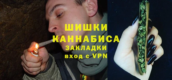 гашик Медногорск